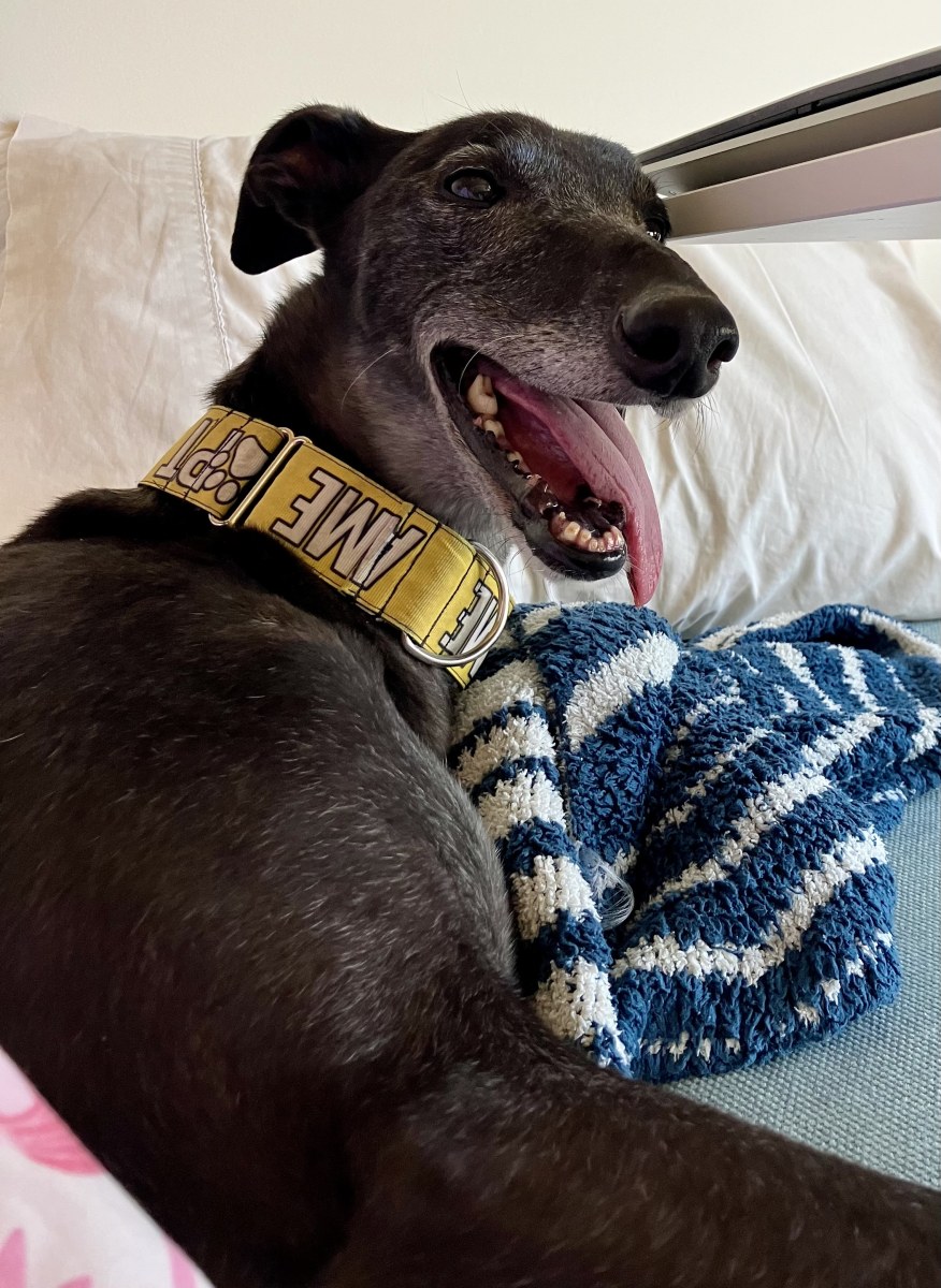 Bonnie