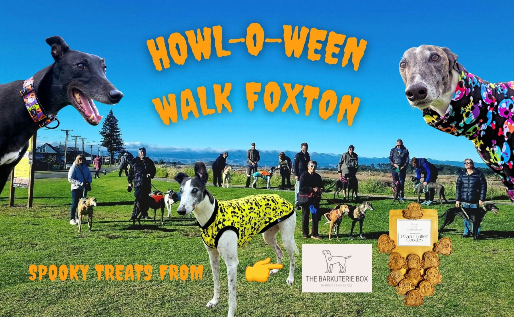 🎃👻 Hounds and Friends Howl-O-Ween Walk! 🐾🕷️ poster