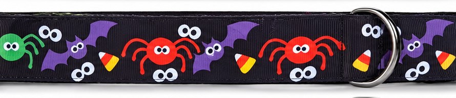 Trick Or Treat