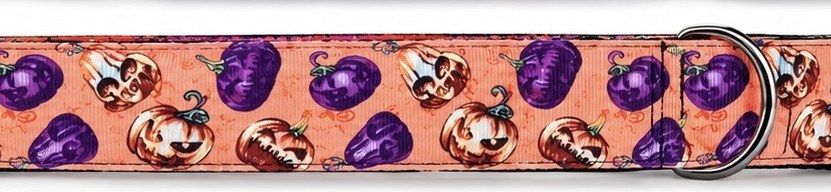 Haunted Harvest